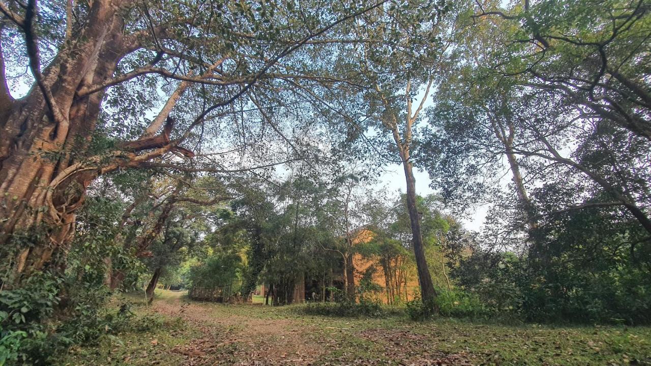 Klov Resort & Spa Wayanad Εξωτερικό φωτογραφία